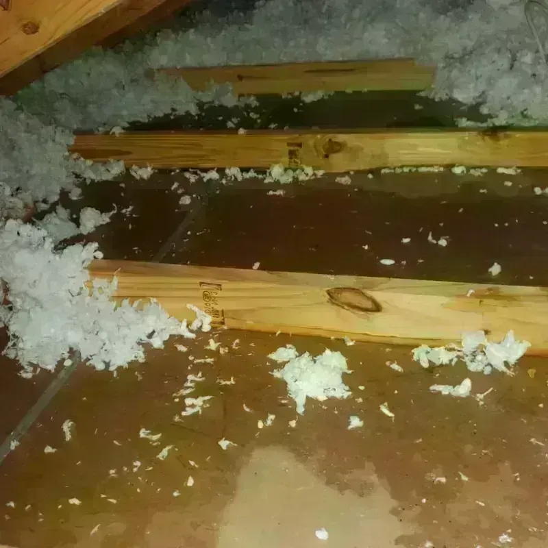 Attic Water Damage in Terry, MS